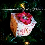 30 Ornaments in 30 Days . . . Day 3!