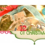 12 Days Blog Hop: Domesticated Lady