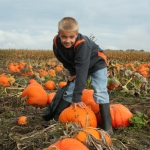 Long Time No Post Nutshell