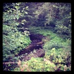 One of my views on my third leg. Gorgeous!