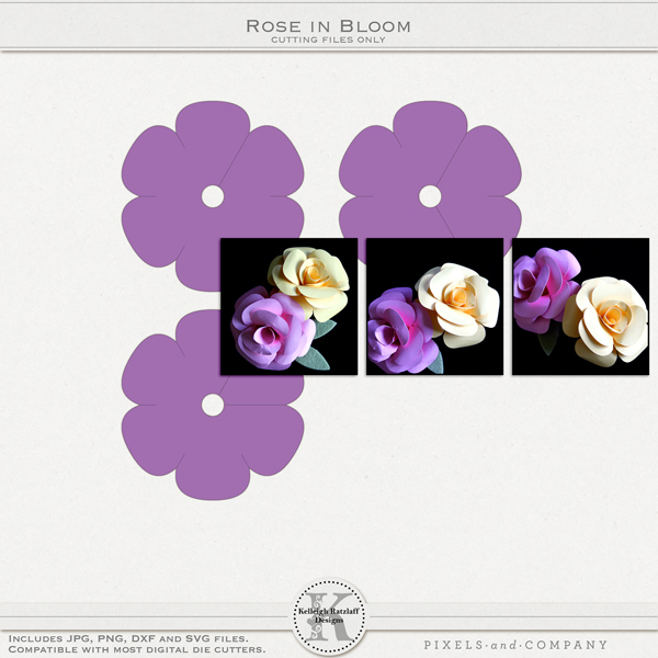 kelleighr_roseinbloom_cf600