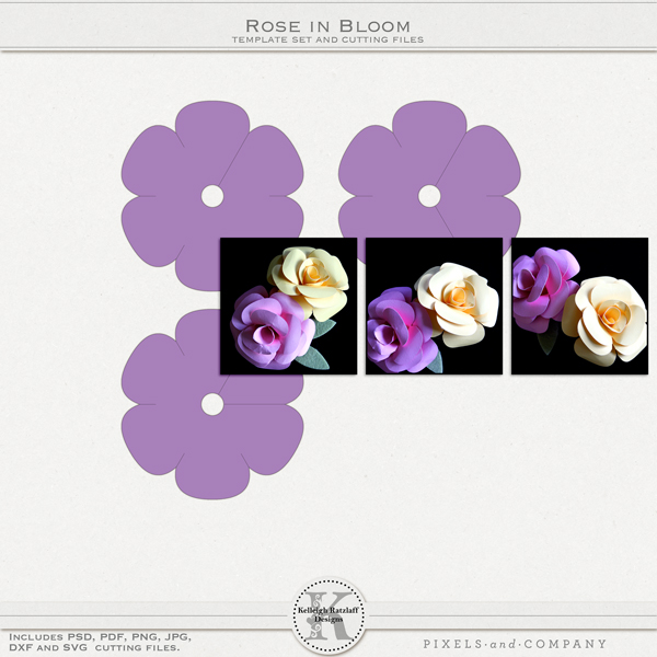 kelleighr_roseinbloom_tp600