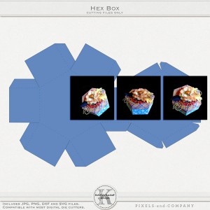 KelleighR-HexBox-cf_600
