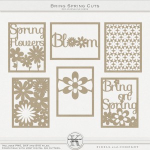 kelleighr_bringspringcuts600