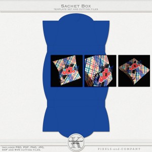 kelleighr_sachetbox_tp600