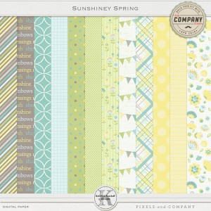 kelleighr_sunshineyspring-pp600